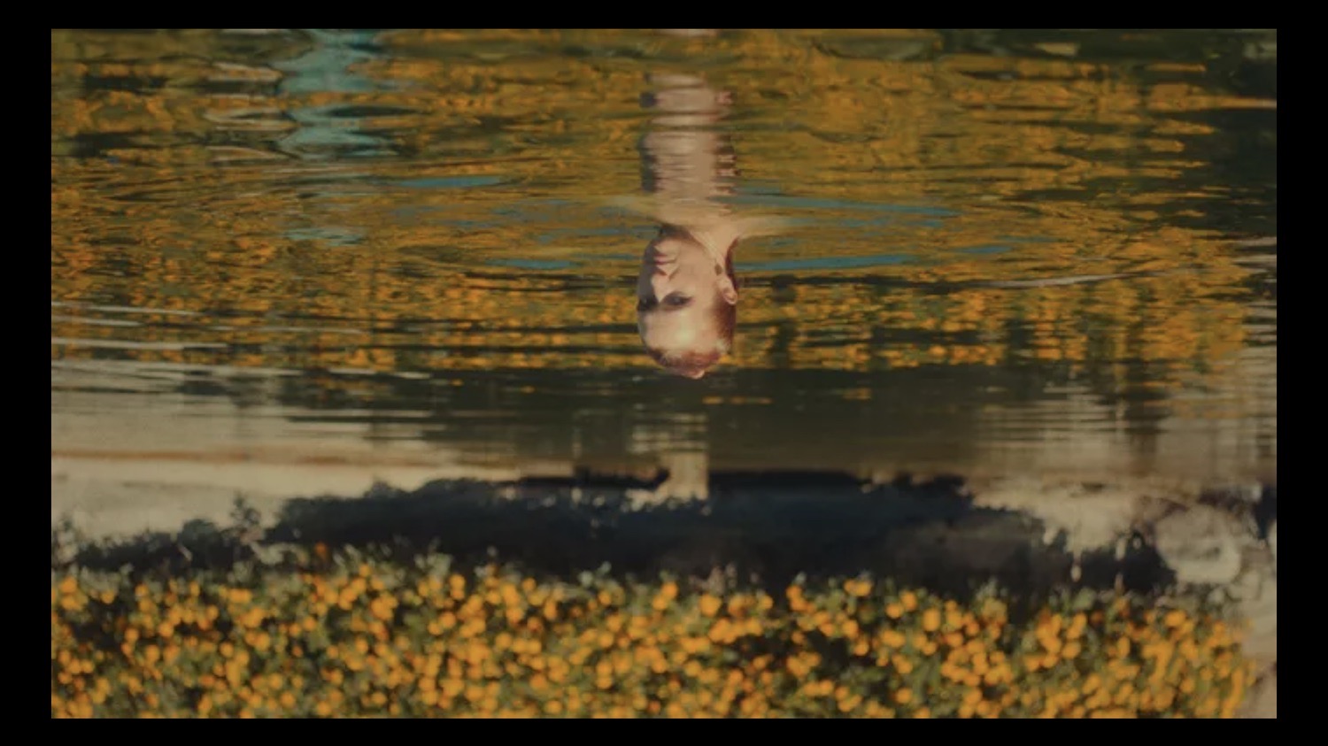 A face reflected upside down in still water among yellow wildflowers, Tell Me a Secret